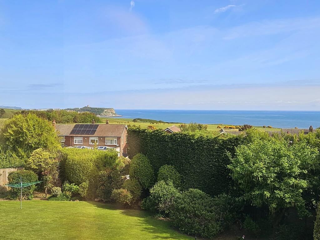 bd0a909b-c581-46c0-ba78-00b68d33b5eb