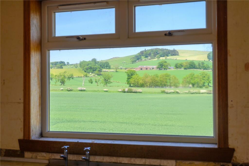 View From Window