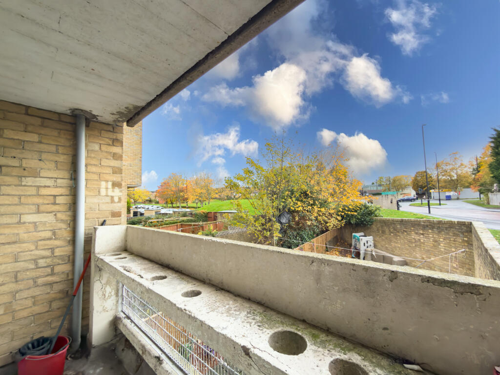 IMG 7145 T202511051328.jpg