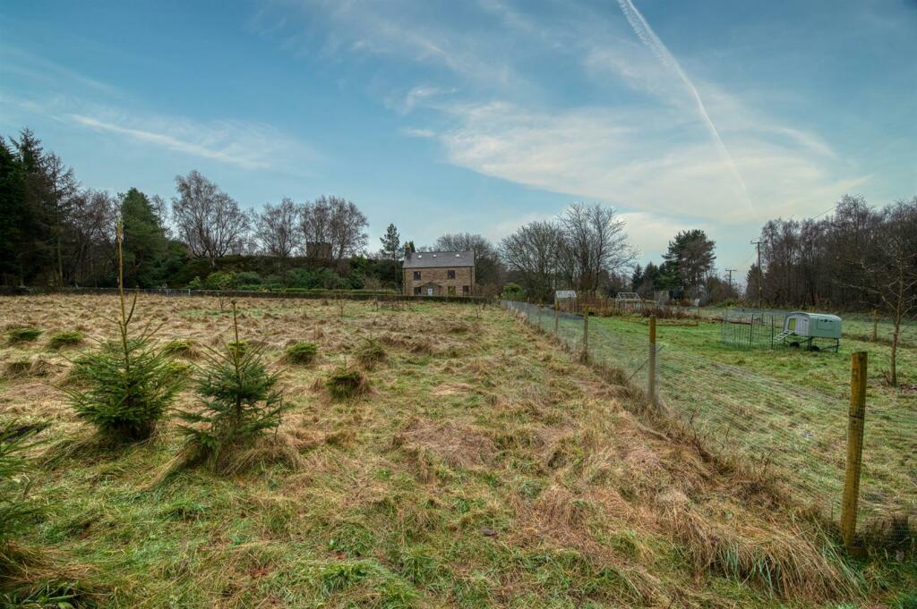 Orchard, Christmas Tree plantation and cottage gar