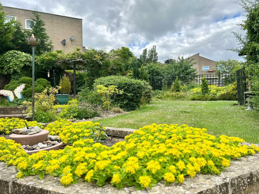 garden (1).jpg