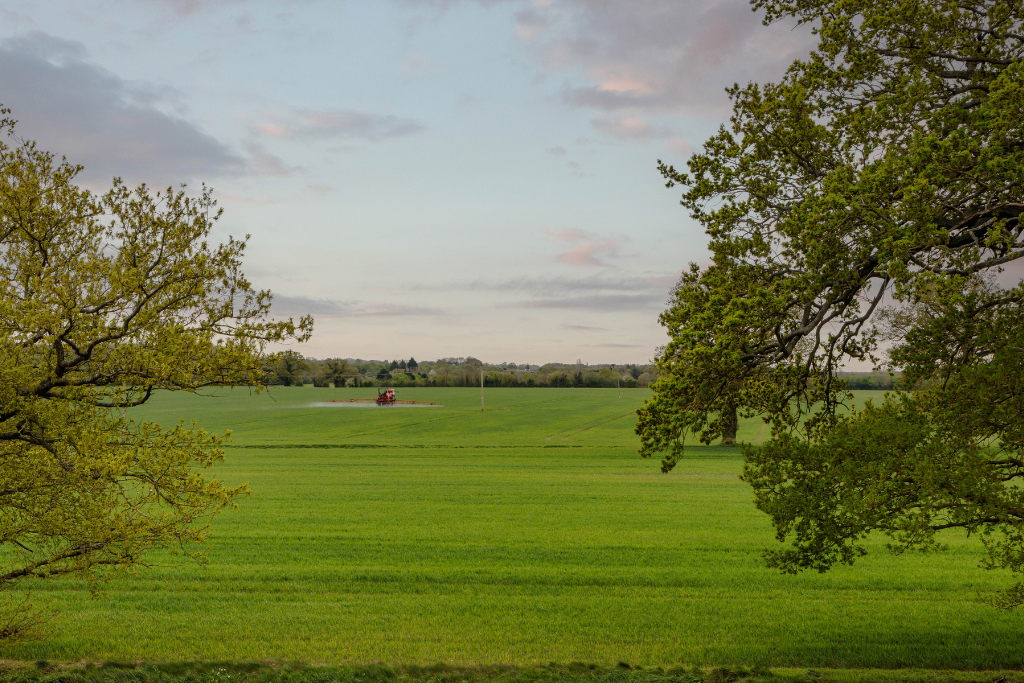 Countryside Views
