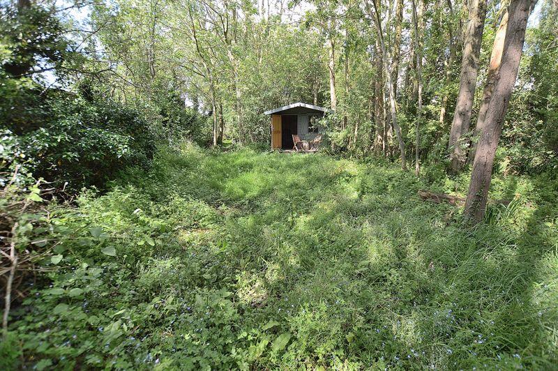 Cabin &amp; Woodlands