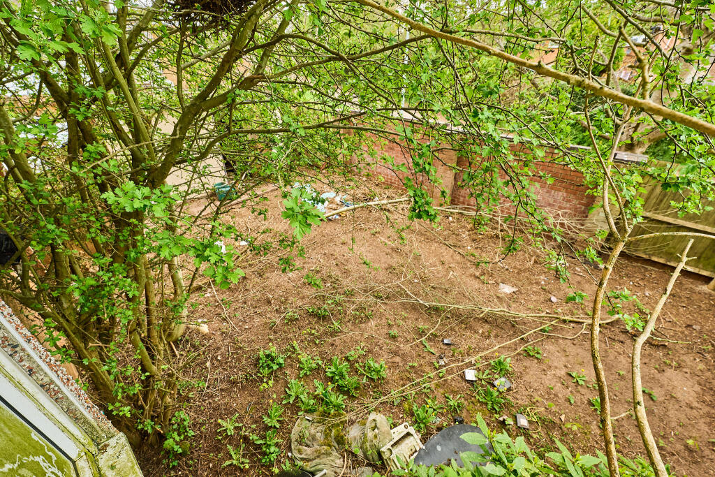 P1456147 T202504141802.jpg