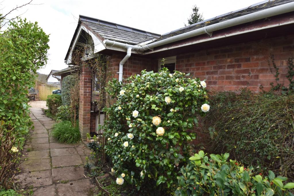 Tiverton, Seddons