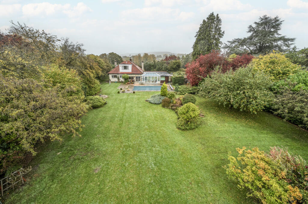 1362648668ed3ca89a6d6