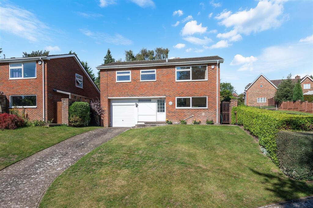 ROSE BUSHES, 15- (2).jpg