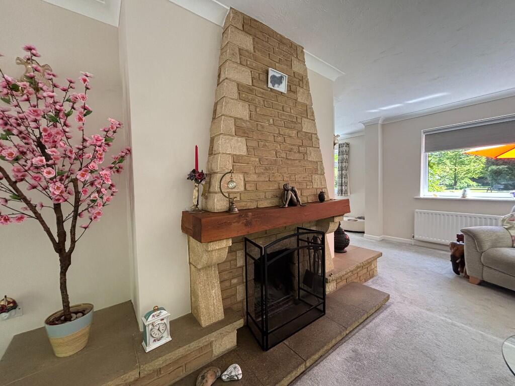 Feature Fireplace 