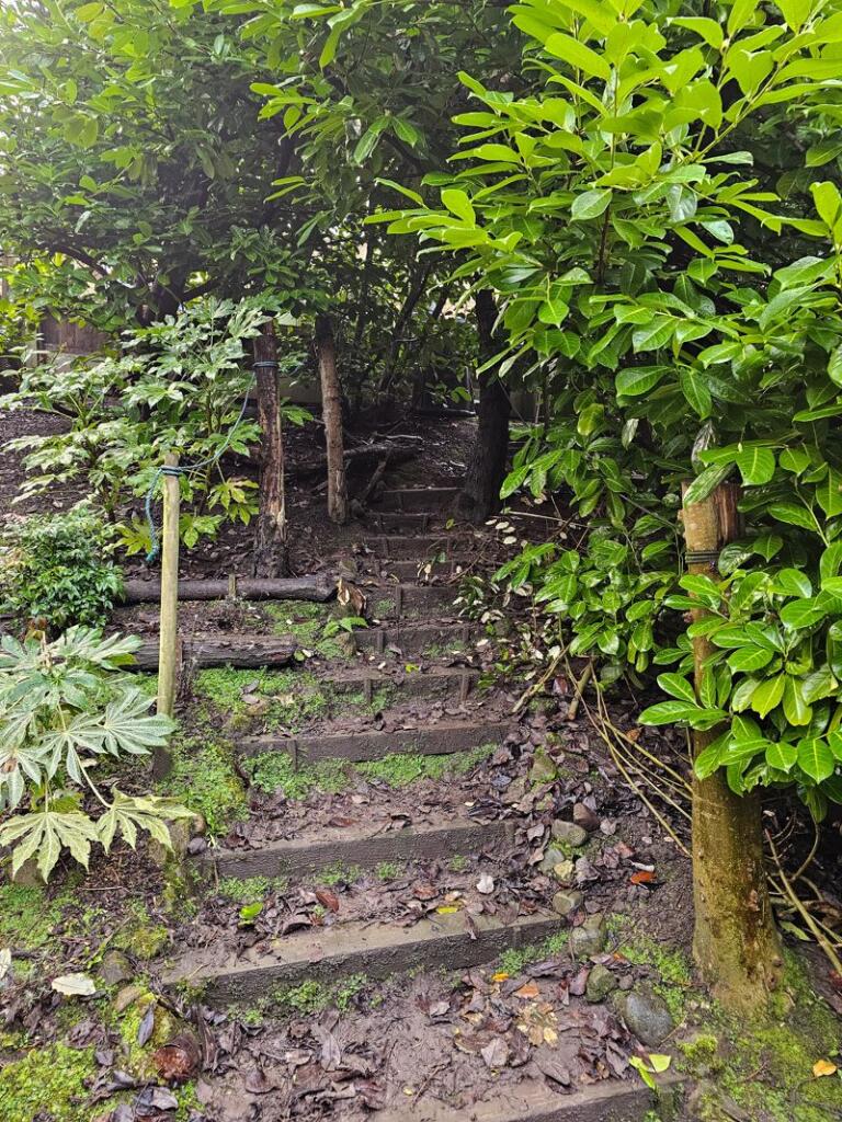 Garden Steps