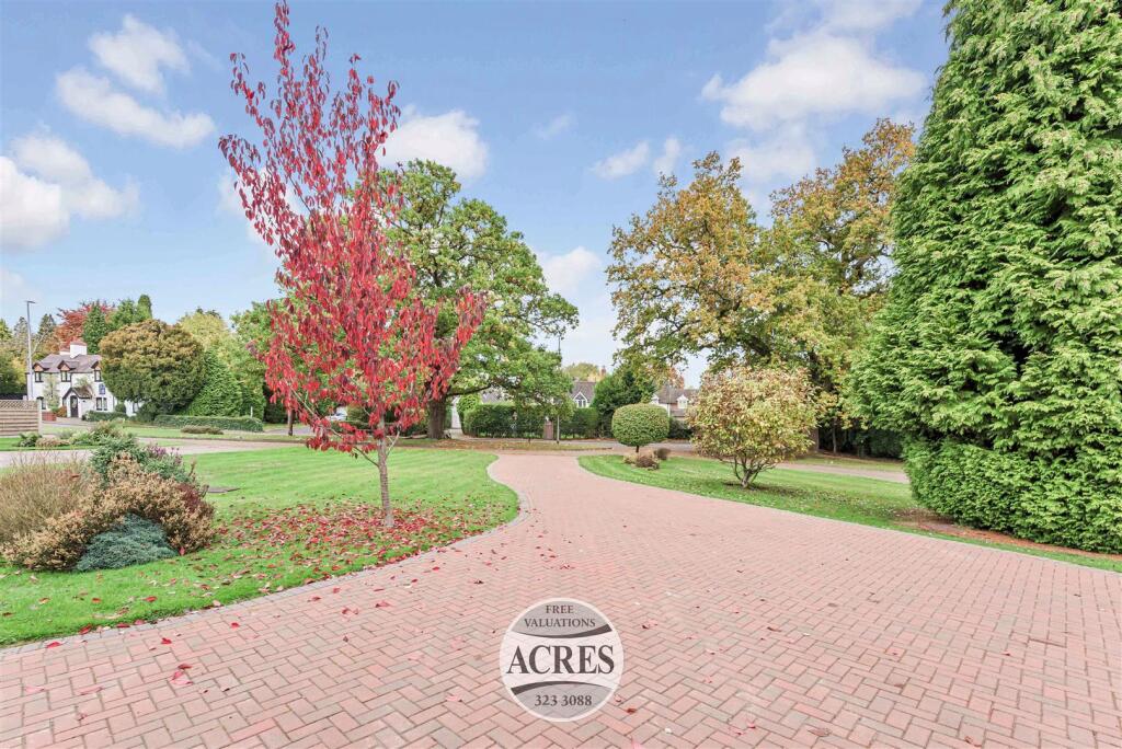 TheSpinney (5) (Large).jpg