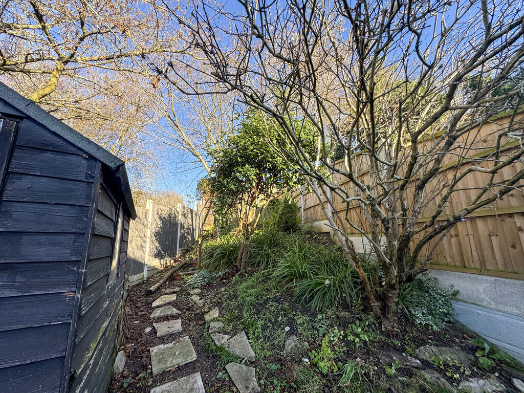 garden back1