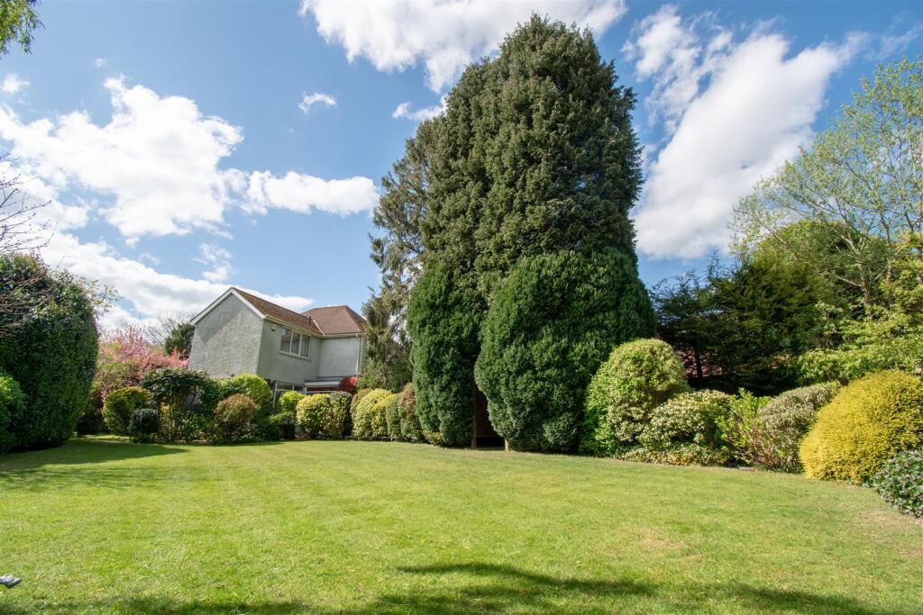 Photo 17-04-2025, 14 03 52.jpg