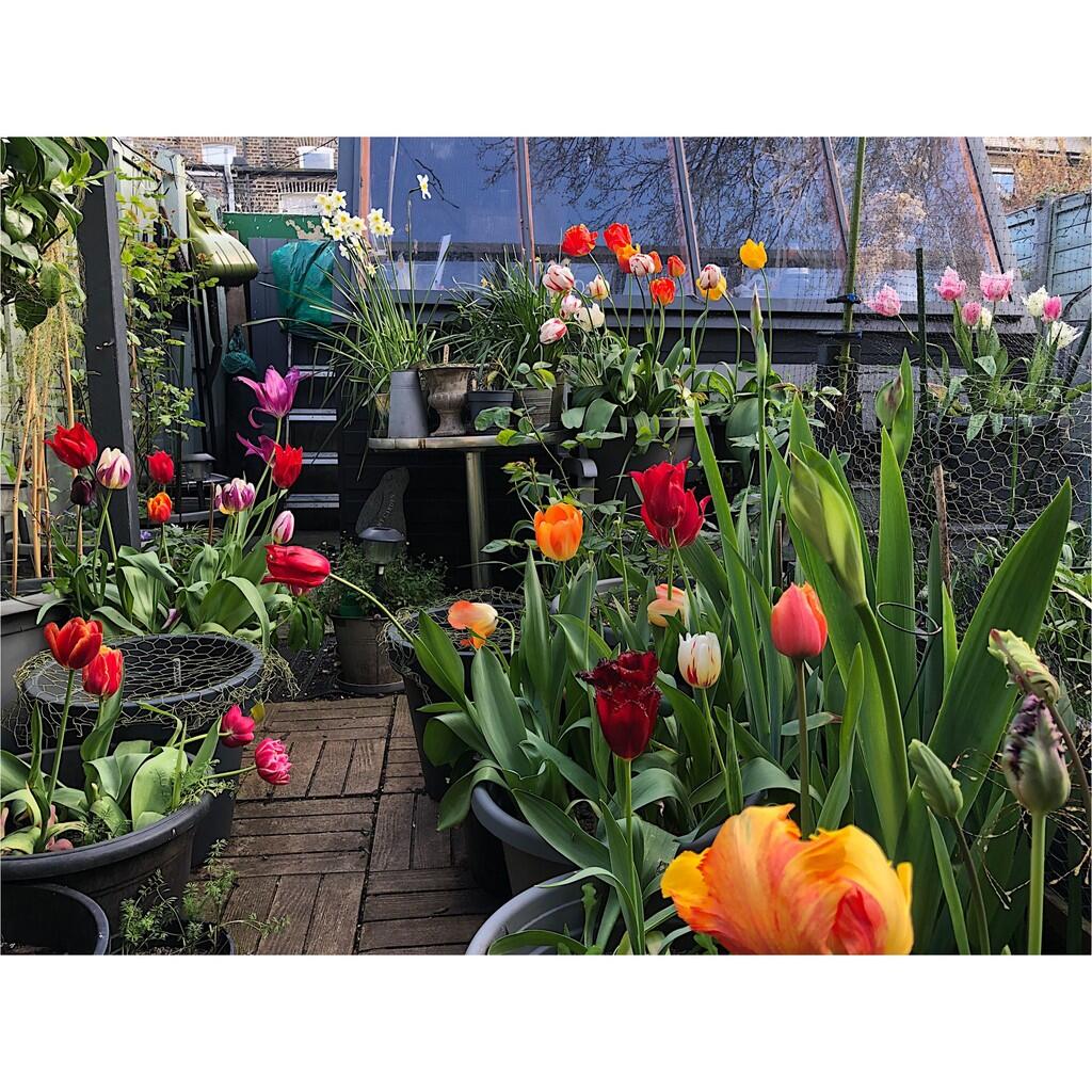 IMG-20250417-WA00...