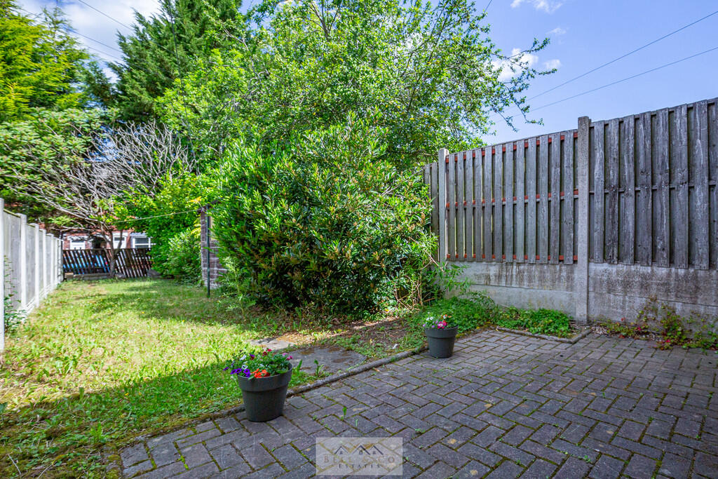 Back garden 1.1