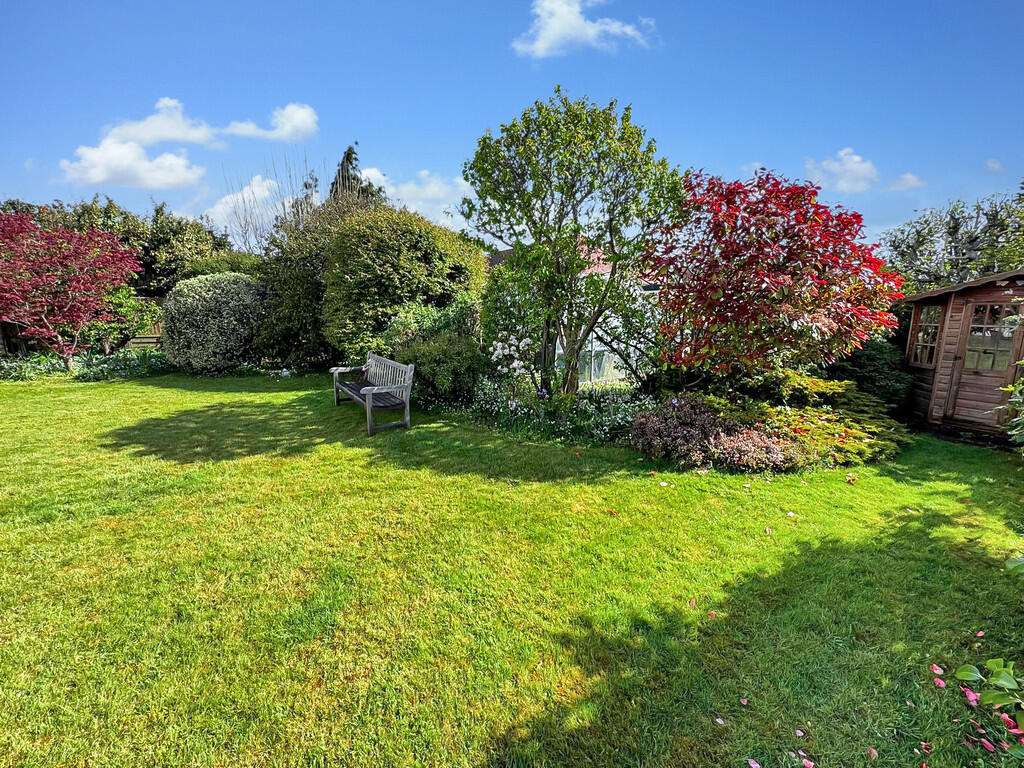 Garden (6)