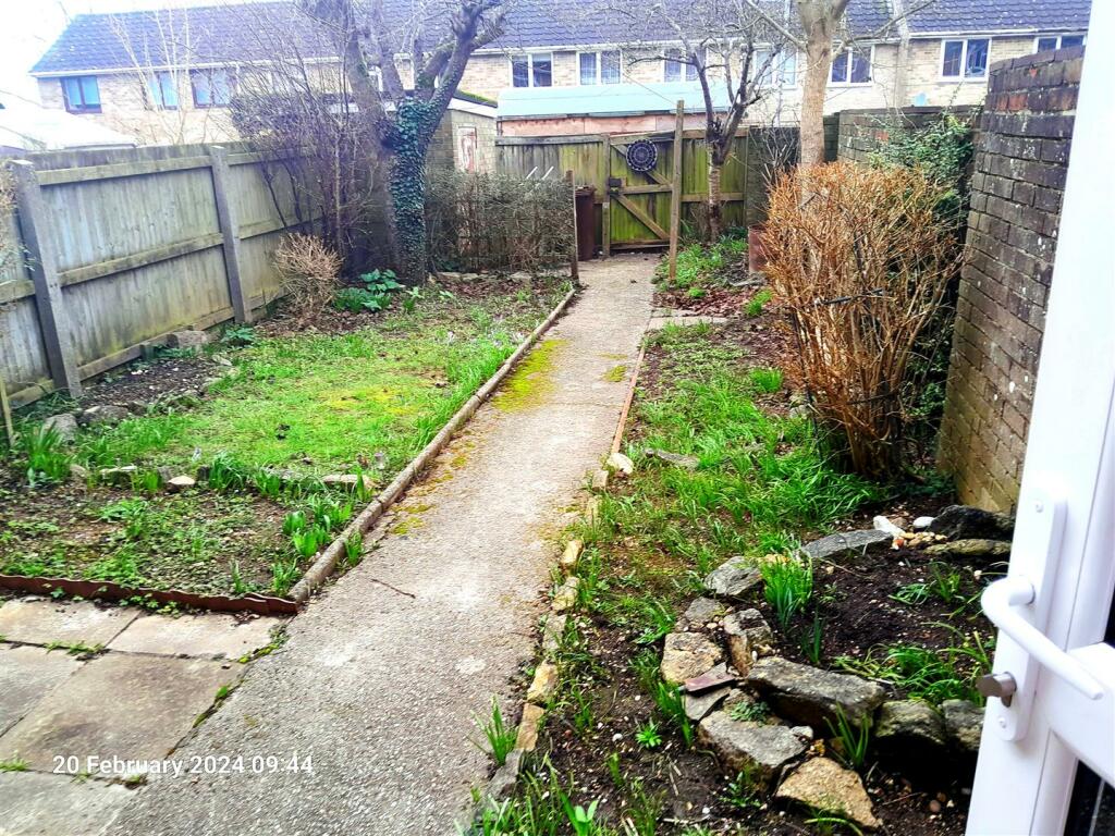 garden winter