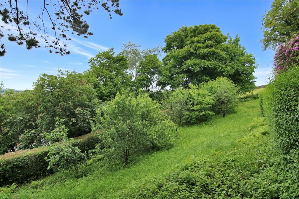 Orchard