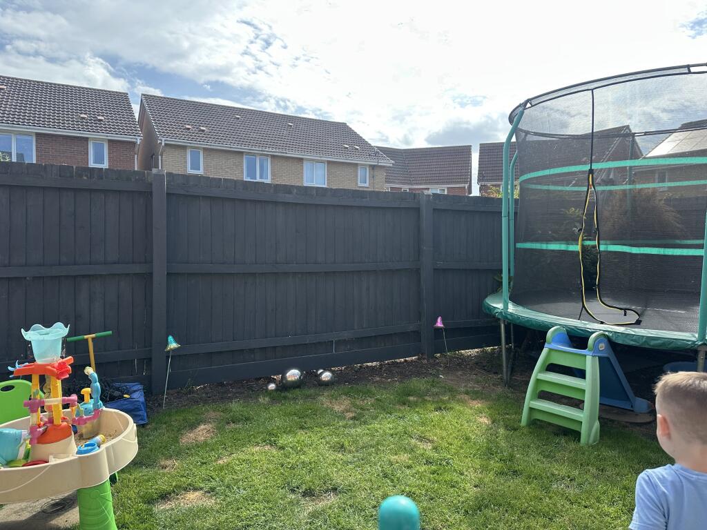 garden (2)