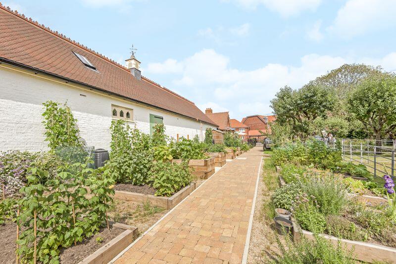Vegetable Garden