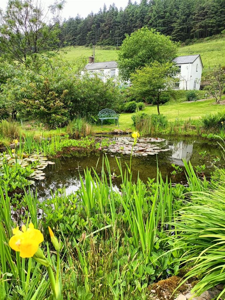 Crud Yr Awel Pond.jpg