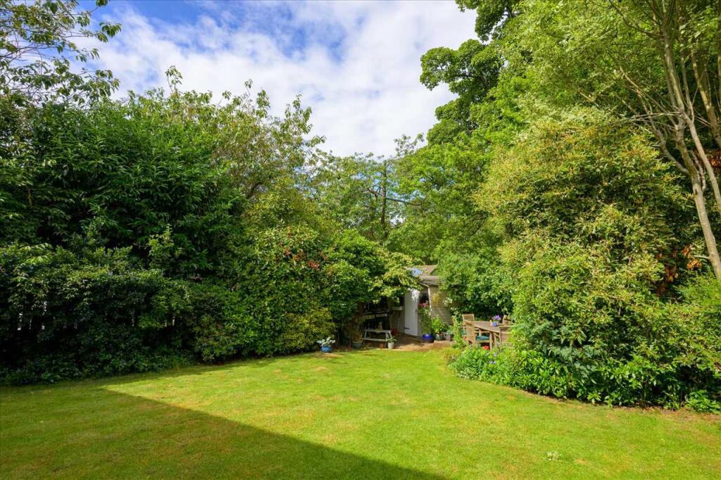 Garden - Rear