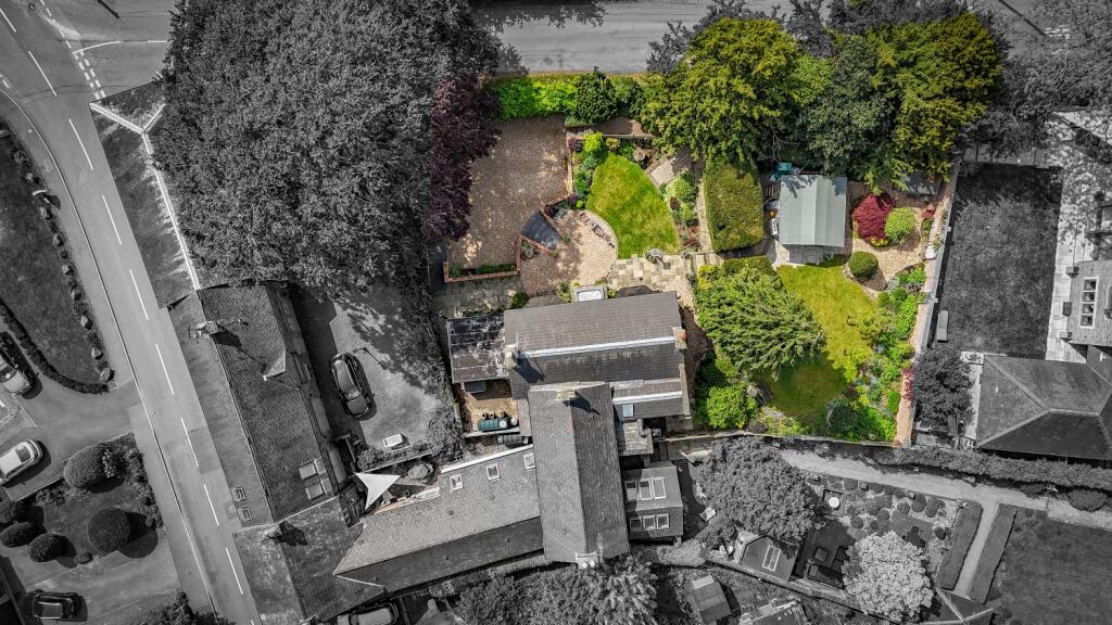 Plot View