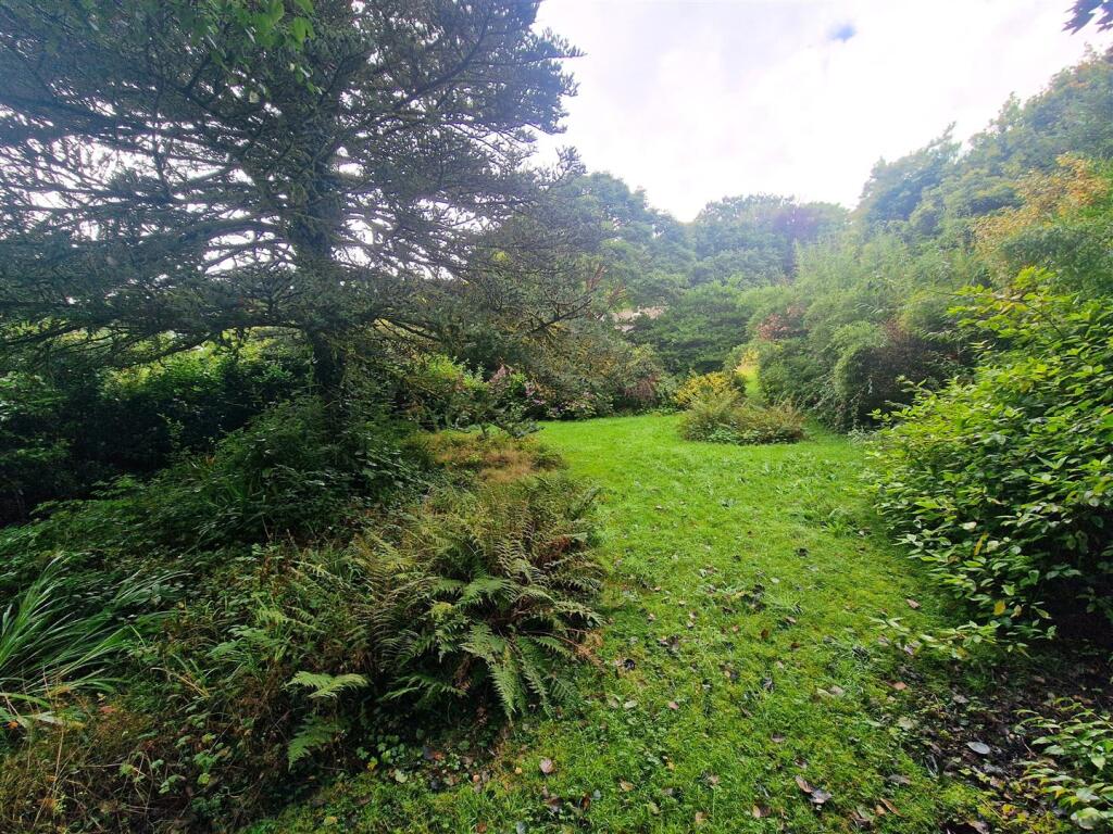 Rear Gardens (2).jpg