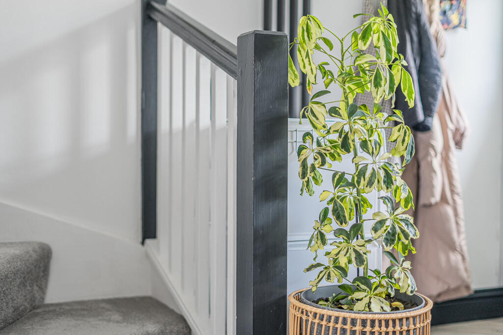 Kitchen/Living Ro...