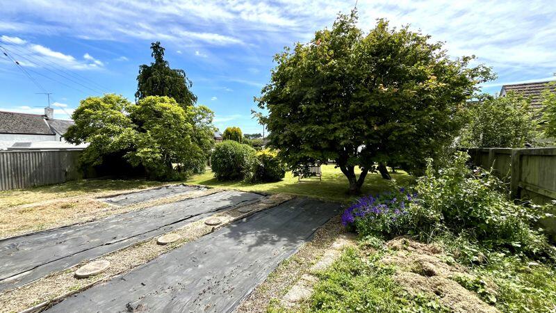 Vegetable Garden