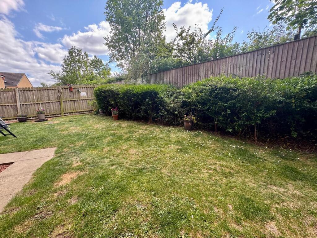 WhatsApp Image 2025-06-03 at 16.46.59