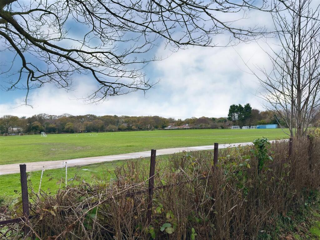 OPEN FRONT VIEWS.jpg