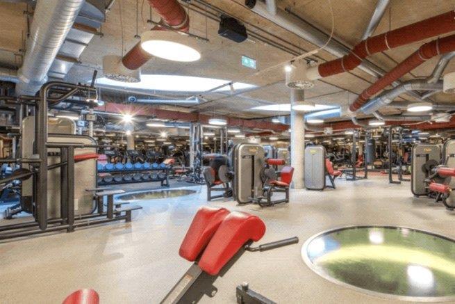 Gym 2.jpg