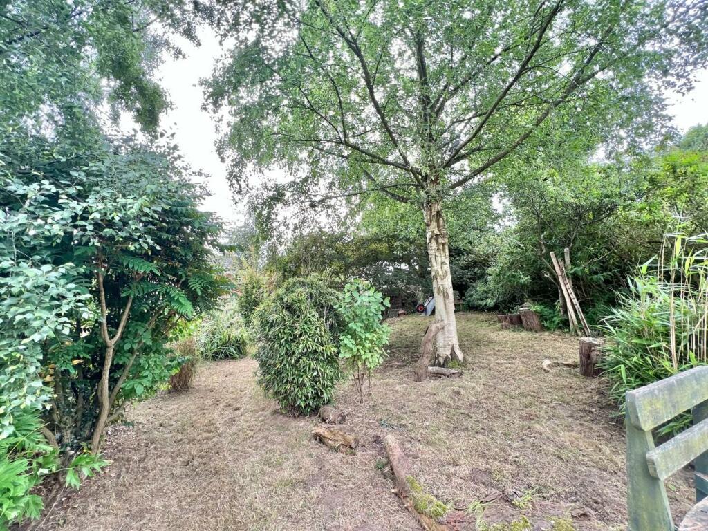 Rear garden