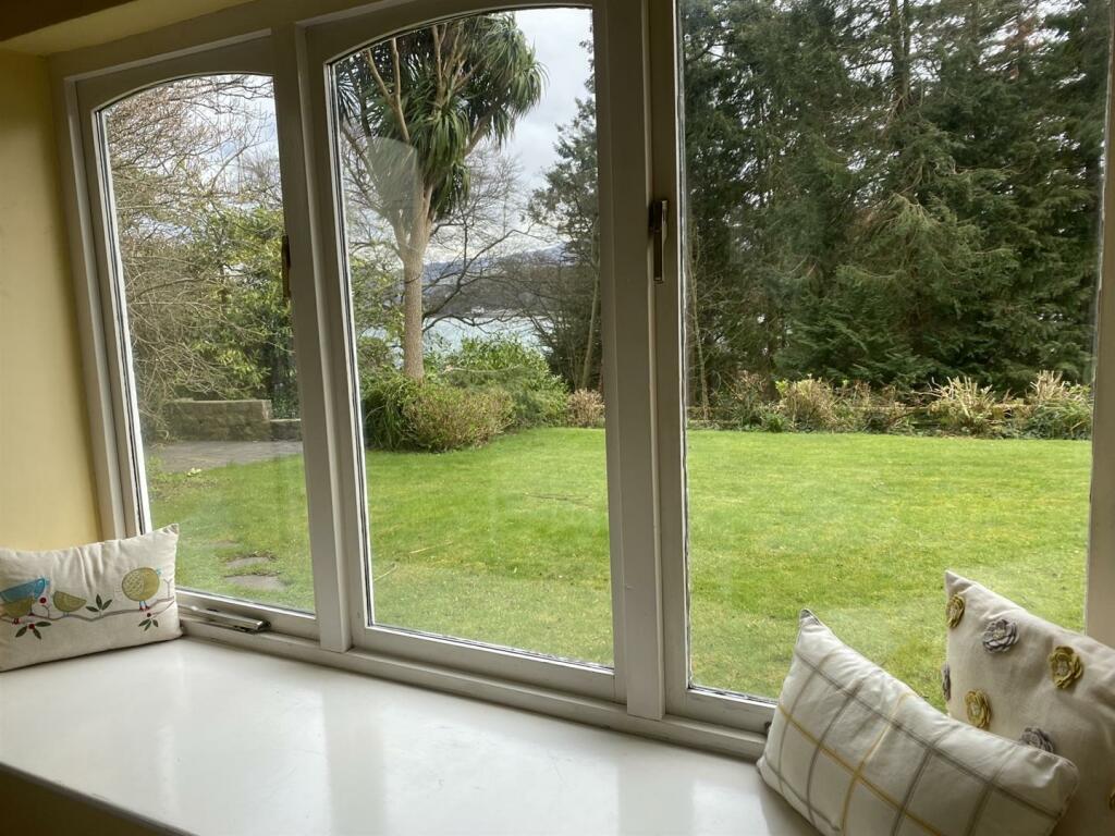 View from DRoom.jpeg