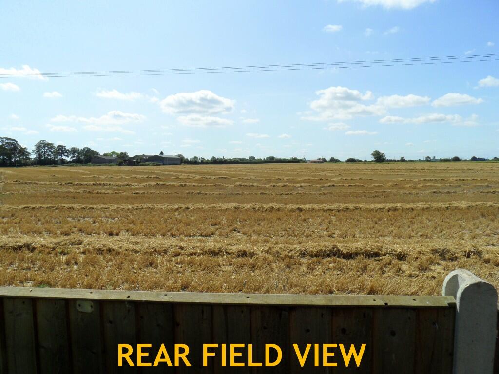 REAR FIELD VIEW