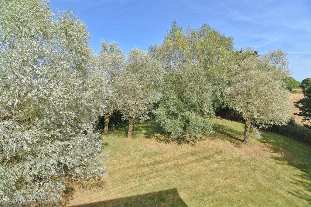 View from Bedroom 1.jpg