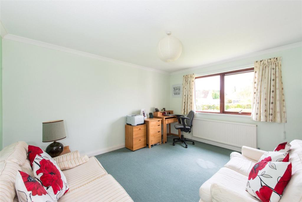 Living Room/Bedroom