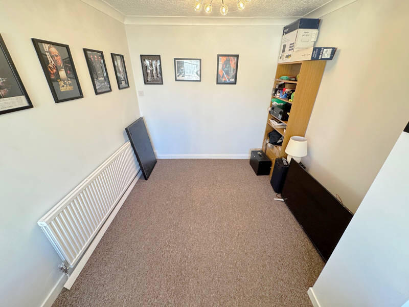 Second Reception/Snug