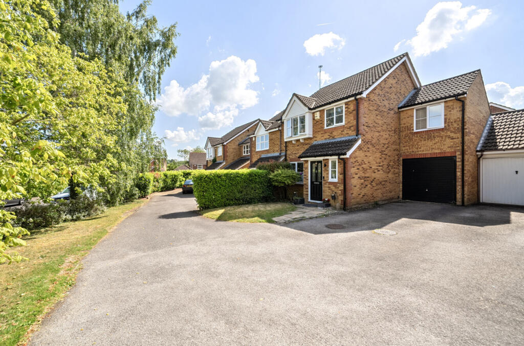 1294539-38-683045...