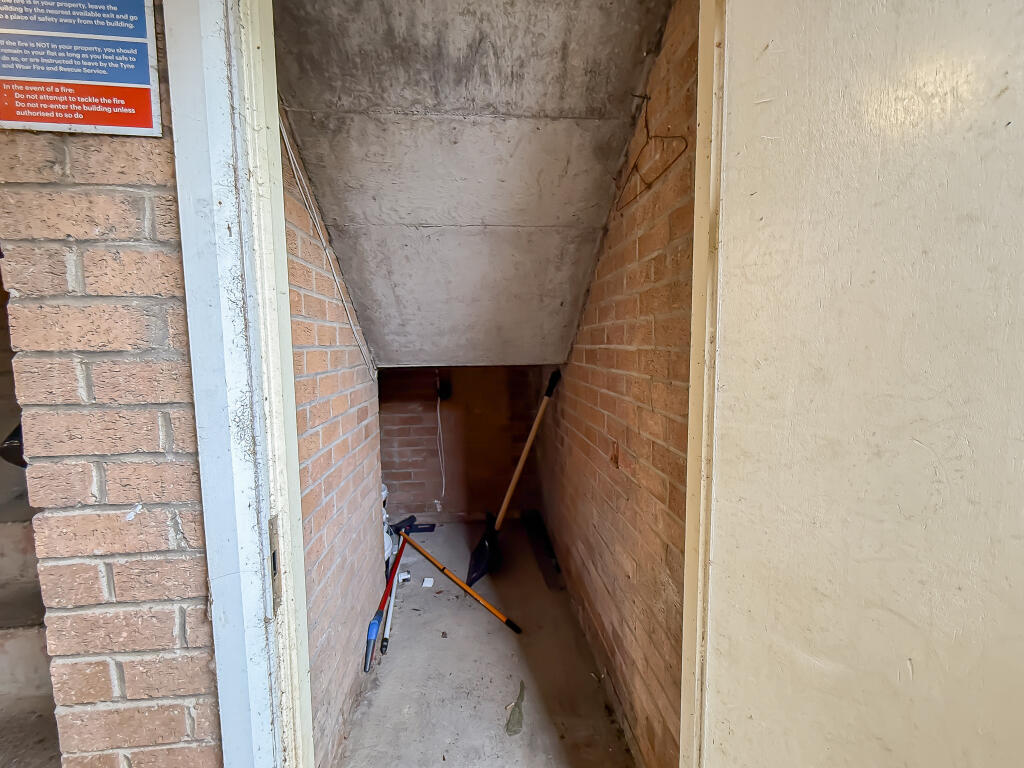 IMG 4697 T202509171115.jpg