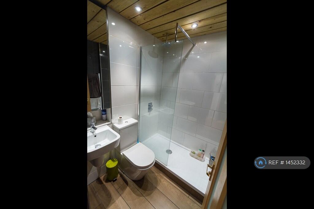 Modern Walk-In Wet-Room