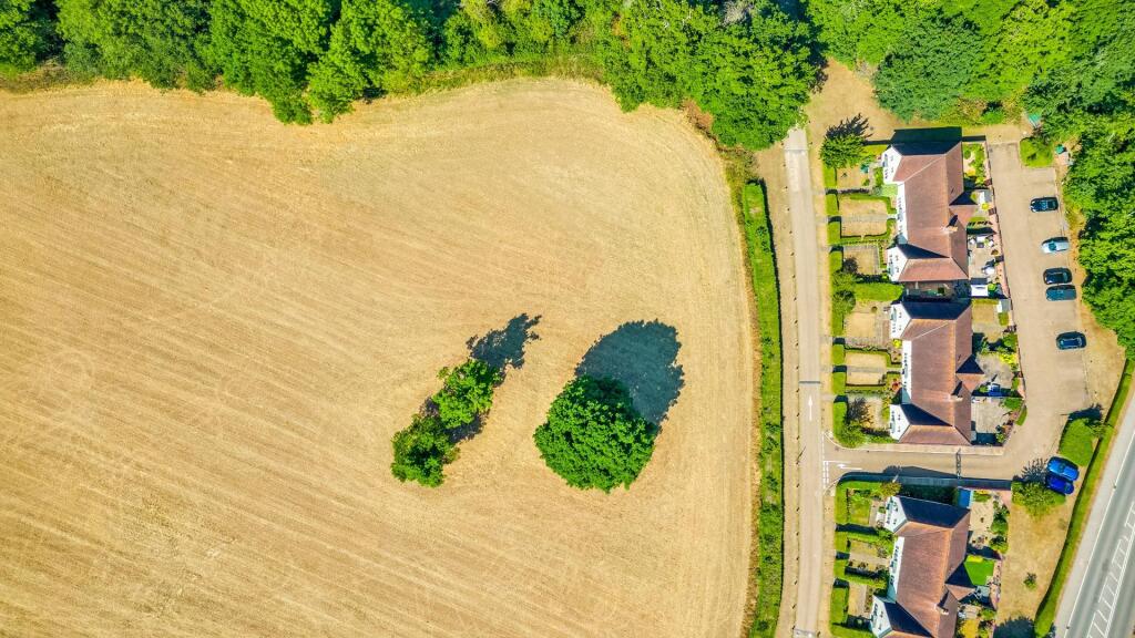 Harrison Lane 8-20.jpg