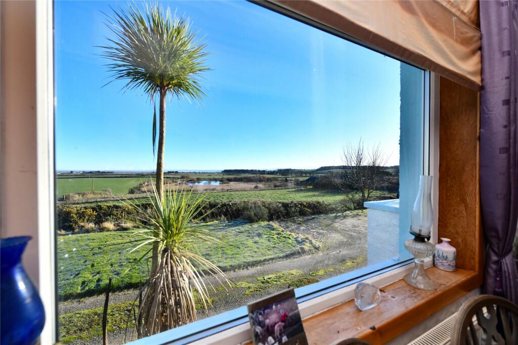 Living Room View