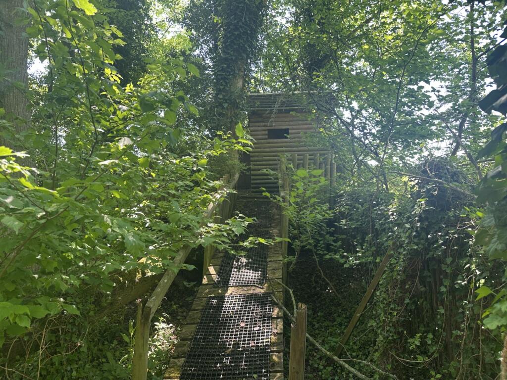 20250512 110459588 IOS T202505161006.jpg