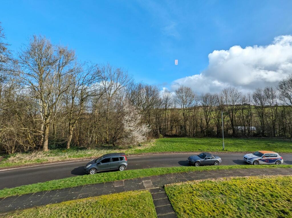 Views from Master Bedroom