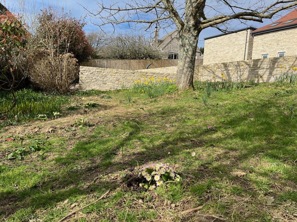 Lower garden