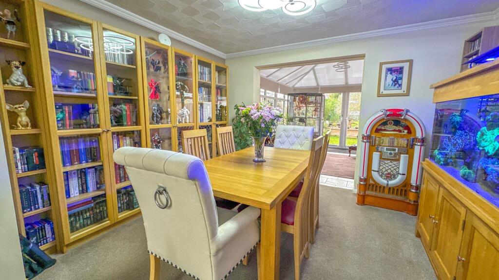 The Long Shoot - Image-7.jpg