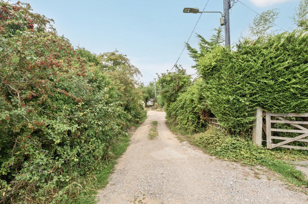 Country Lane