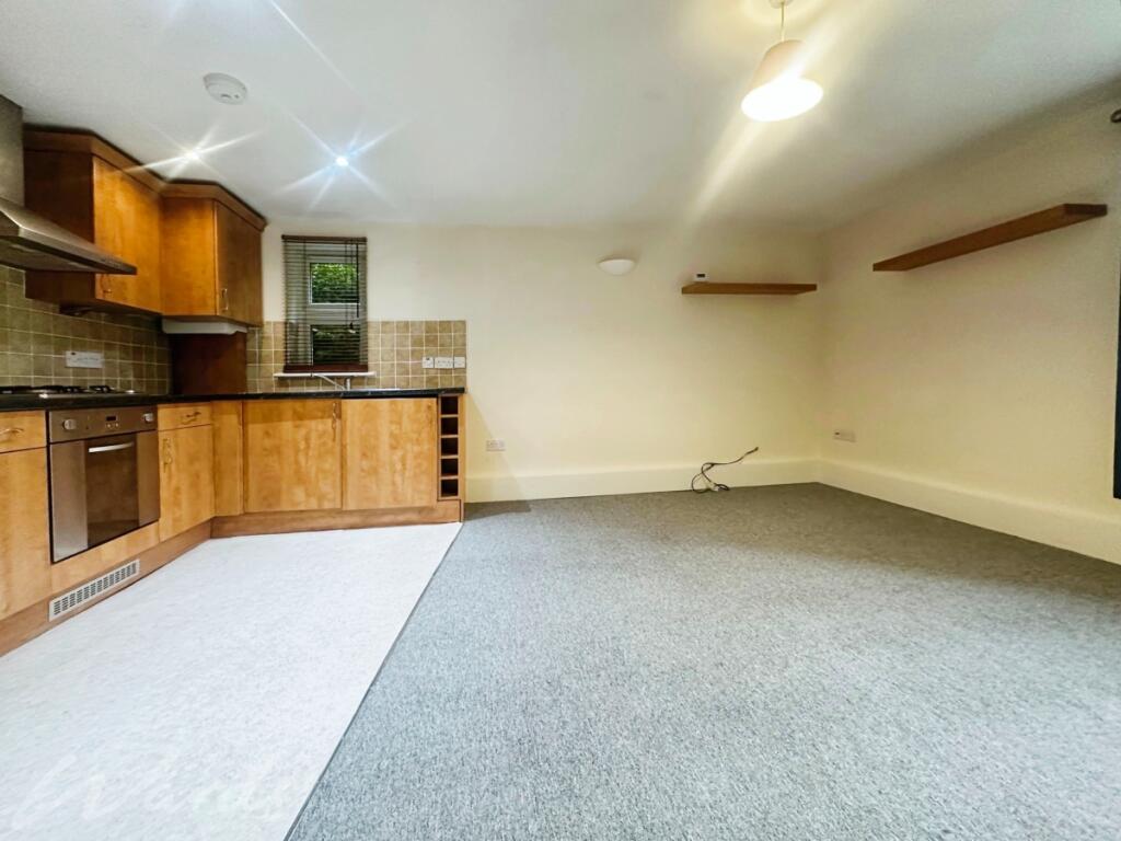Kitchen/Living Area