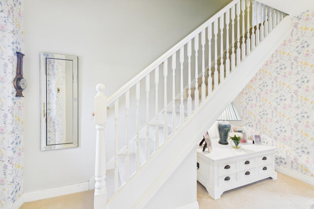 CAM03162G0-PR0352-STILL021